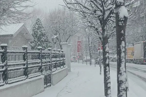 E İmza Sakarya - Resim 5