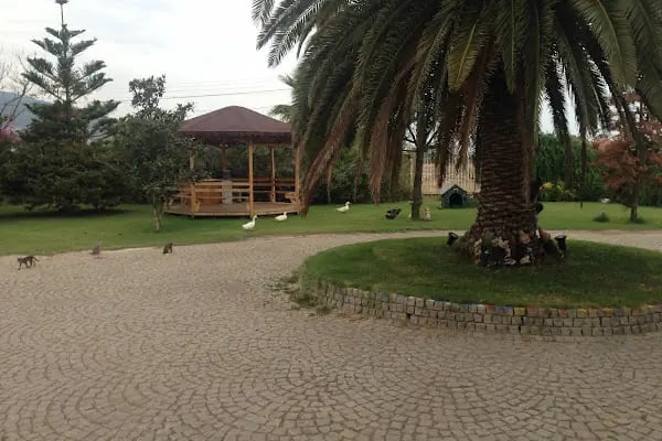 İnciralti Montessori Anaokulu - Resim 3