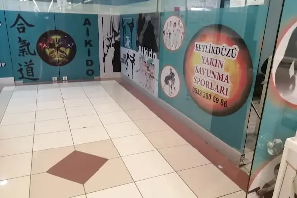 Dragon Aikido Akademi /Beykent-Beylikdüzü - Resim 5