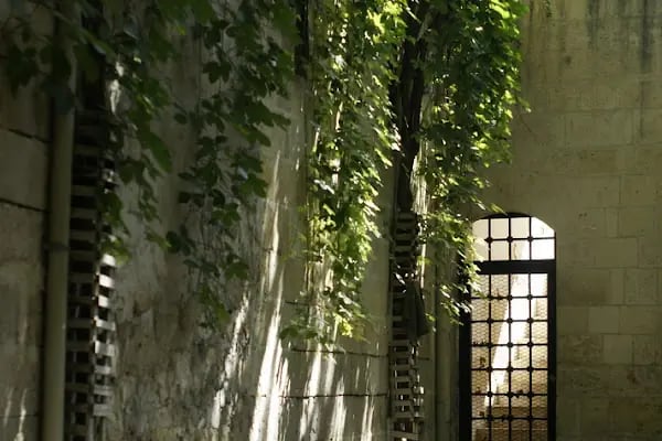 DABAKHANE CAMİİ - Resim 6
