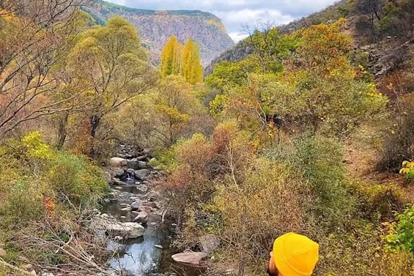 Kapaklı Milli Parkı - Resim 9