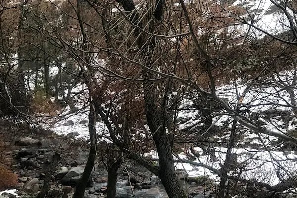 Kapaklı Milli Parkı - Resim 6