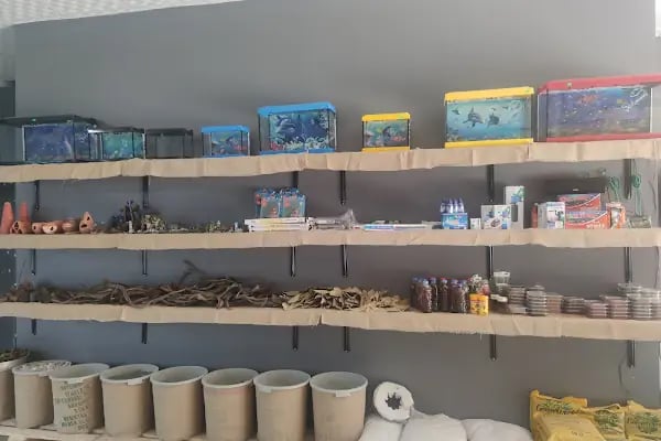 PETRA AQUA PETSHOP - Resim 15