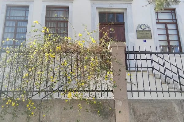 Odyssey Guest House - Resim 13