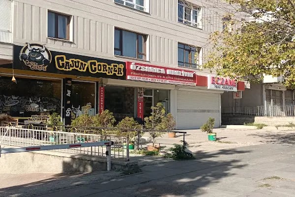 Özsarıca Ankara Nakliyat - Resim 10