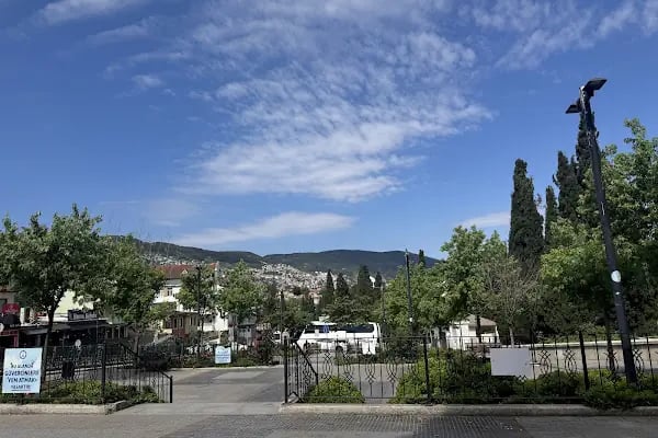 Emir Sultan Camii - Resim 17
