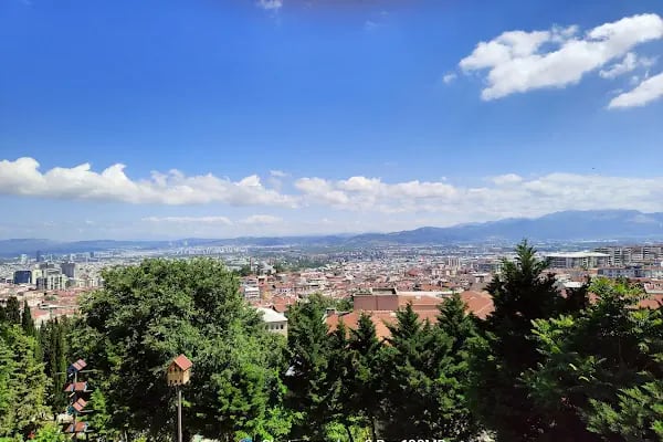 Emir Sultan Camii - Resim 8