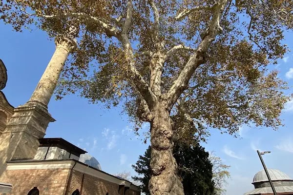 Emir Sultan Camii - Resim 20