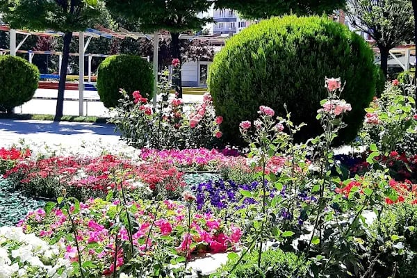 Akyurt Belediyesi - Resim 6