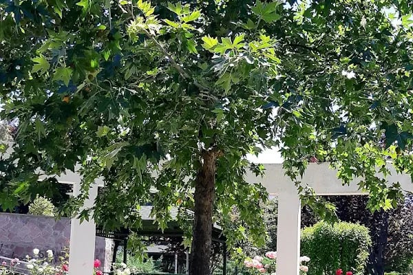 Akyurt Belediyesi - Resim 19