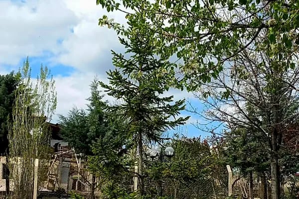 Akyurt Belediyesi - Resim 18