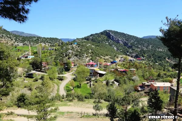 Etekli Köyü Tereli Yaylası Çamlık Seyir Tepesi - Resim 5