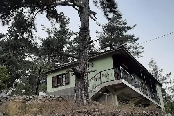Etekli Köyü Tereli Yaylası Çamlık Seyir Tepesi - Resim 19