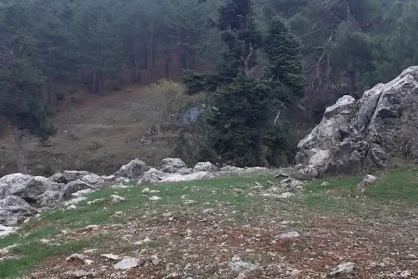 Etekli Köyü Tereli Yaylası Çamlık Seyir Tepesi - Resim 17