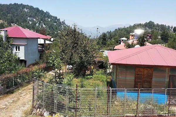 Etekli Köyü Tereli Yaylası Çamlık Seyir Tepesi - Resim 15