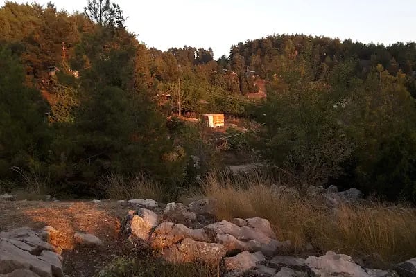 Etekli Köyü Tereli Yaylası Çamlık Seyir Tepesi - Resim 10