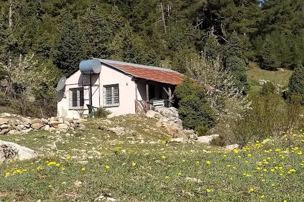 Etekli Köyü Tereli Yaylası Çamlık Seyir Tepesi - Resim 18