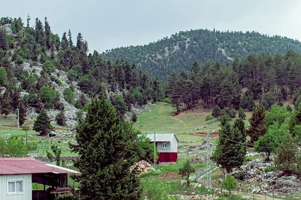 Etekli Köyü Tereli Yaylası Çamlık Seyir Tepesi - Resim 4