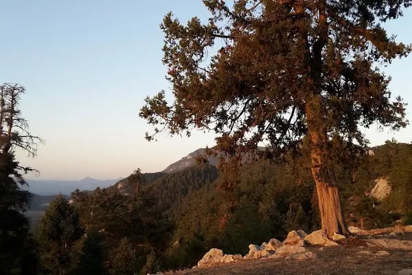 Etekli Köyü Tereli Yaylası Çamlık Seyir Tepesi - Resim 13