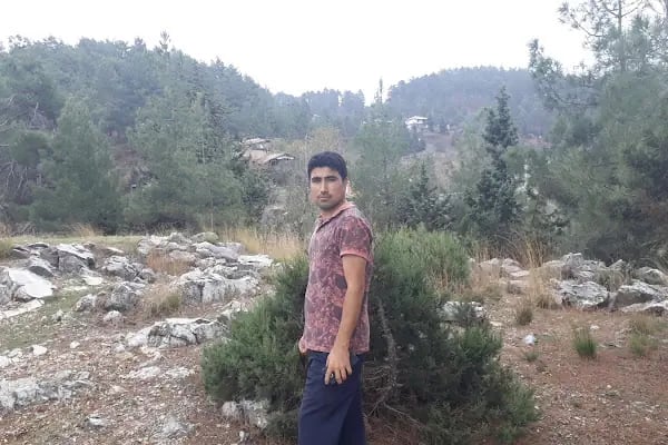 Etekli Köyü Tereli Yaylası Çamlık Seyir Tepesi - Resim 9