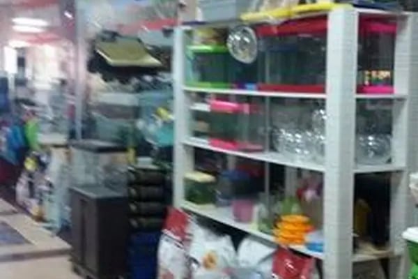 Deniz Pet Shop - Resim 4