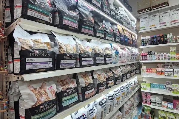 Deniz Pet Shop - Resim 2