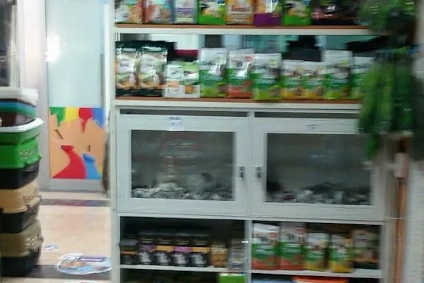 Deniz Pet Shop - Resim 9