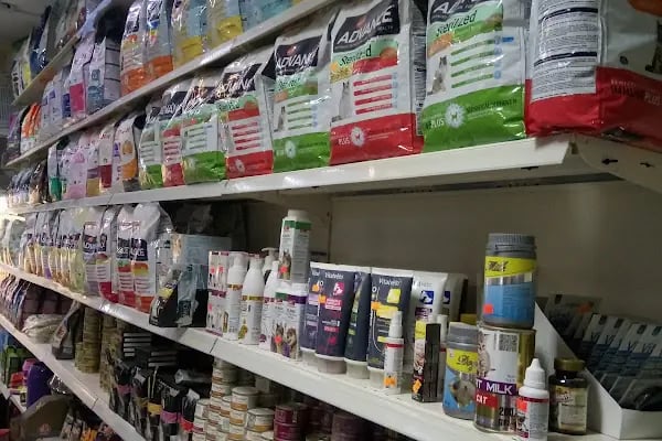 Deniz Pet Shop - Resim 5