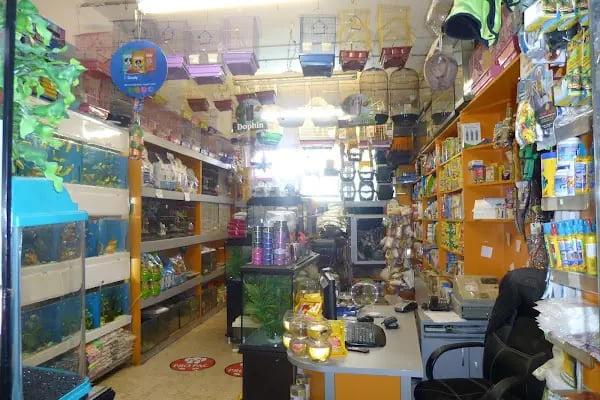 Deniz Pet Shop - Resim 8
