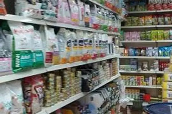 Deniz Pet Shop - Resim 3