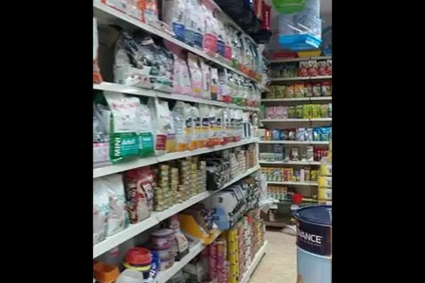 Deniz Pet Shop - Resim 19