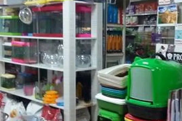 Deniz Pet Shop - Resim 7