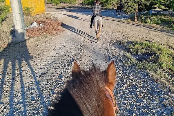 Süleyman Şah Atlı Spor Kulübü - Resim 9