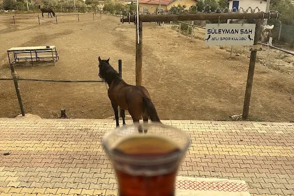 Süleyman Şah Atlı Spor Kulübü - Resim 4