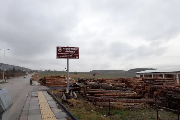Hakan Orman Ürünleri HAKAN BAYSAL - Resim 9