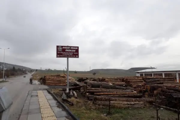 Hakan Orman Ürünleri HAKAN BAYSAL - Resim 7