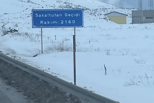 ÖZ PAMUK KARDEŞLER NAKLİYAT TARIM VE HAYVANCILIK - Resim 11