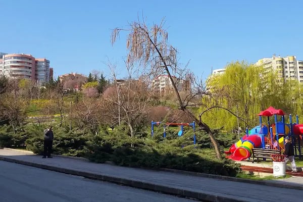 100. YIL PARKI - Resim 5