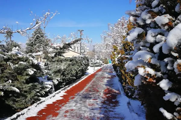 100. YIL PARKI - Resim 7