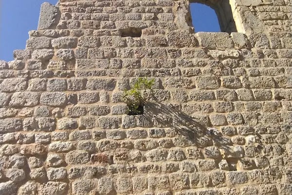 Feke Kara Kilise - Resim 6