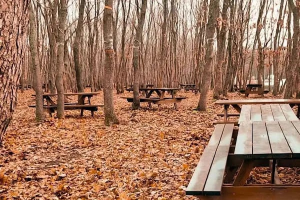 Danamandıra Tabiat Parkı - Resim 7
