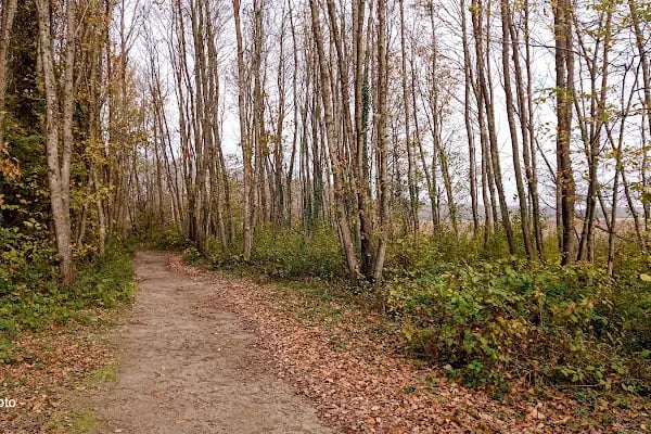 Danamandıra Tabiat Parkı - Resim 14