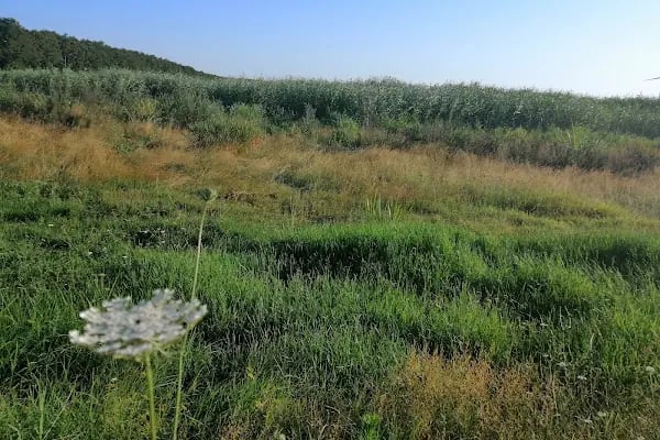 Danamandıra Tabiat Parkı - Resim 5