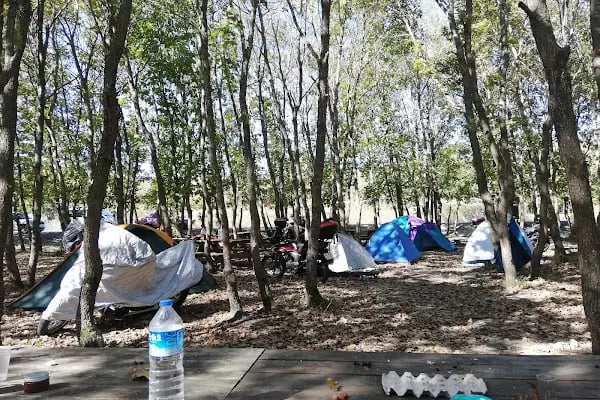 Danamandıra Tabiat Parkı - Resim 10