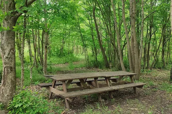 Danamandıra Tabiat Parkı - Resim 13