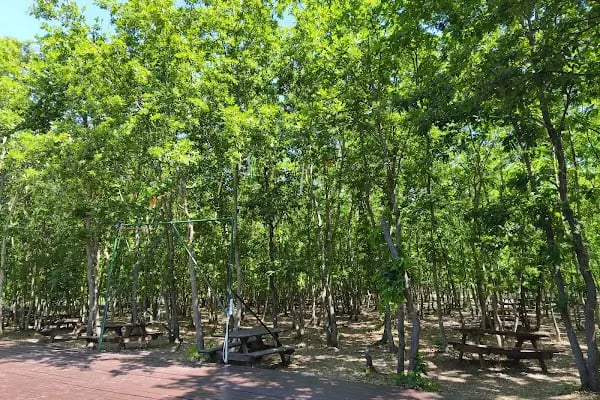 Danamandıra Tabiat Parkı - Resim 17