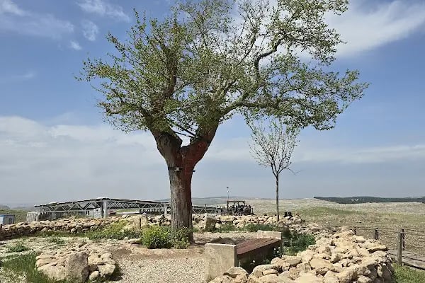 Göbeklitepe - Resim 13