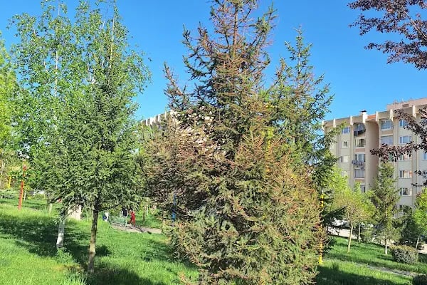 Akyurt Toki Ortaokulu - Resim 3
