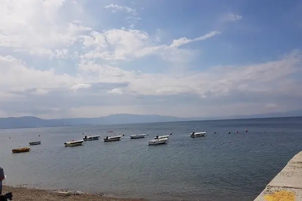 Martılar Parkı - Resim 1