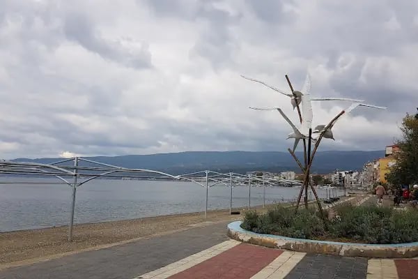 Martılar Parkı - Resim 2